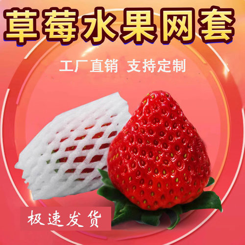 草莓网套工厂批发发货快物流好