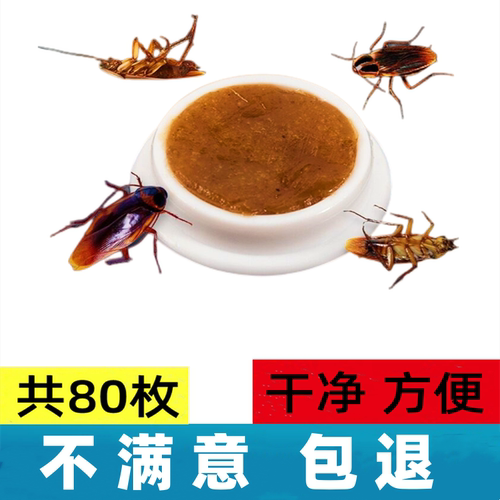 蟑螂药大小通杀全窝端强效+预防