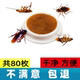 蟑螂药强效全窝端家用大小通杀蟑胶饵一锅扫净无小强毒老蟑屋厚生