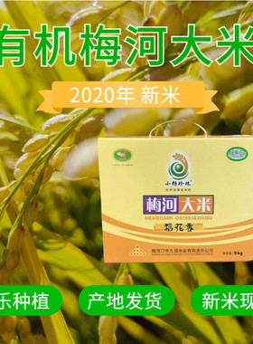 2025新米小杨珍珠吉林梅河口九星东北稻花香大米5kg礼盒10斤