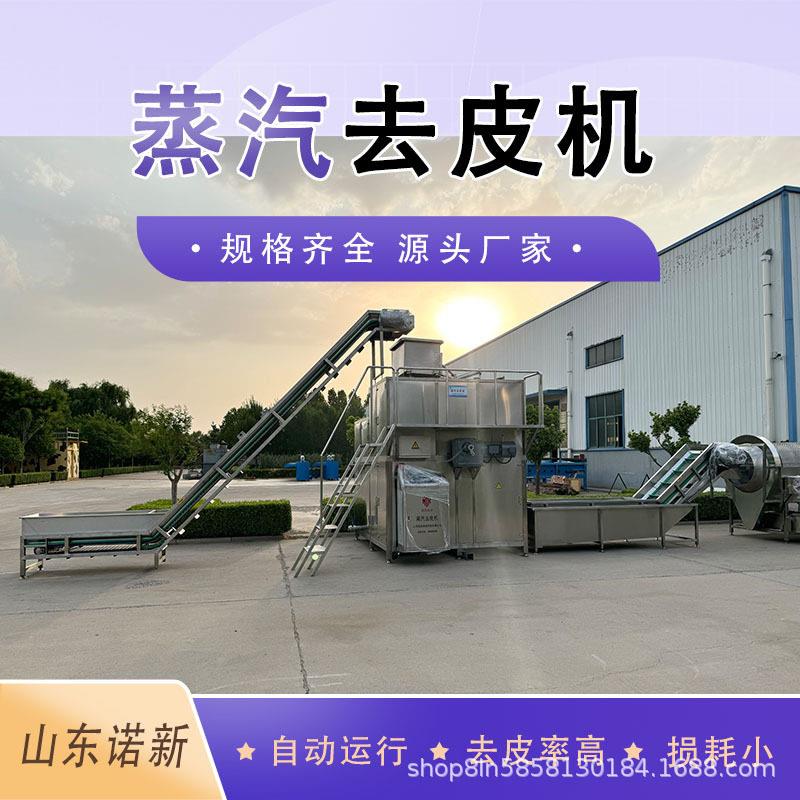 蒸汽去皮机不伤果肉 去皮率 节省人工 果蔬去皮机