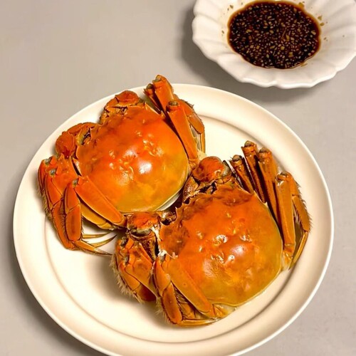 活蟹洪泽湖母蟹2.7-3.0两8只送2只礼盒包装顺丰包邮
