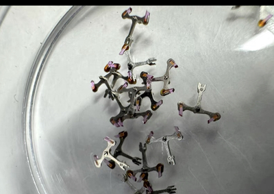 结构专配2824-2 2836-2 2834-2 马叉 马轮 擒纵叉 擒纵轮