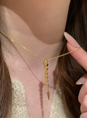 S925纯银项链金钱蛇轻奢高端小众级设计感气质百搭精致锁骨颈链潮