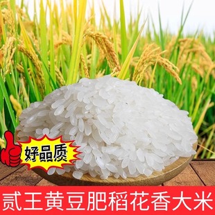 23年新米黄豆蛋白肥种植稻花香非烘干大米开口保存或冷藏