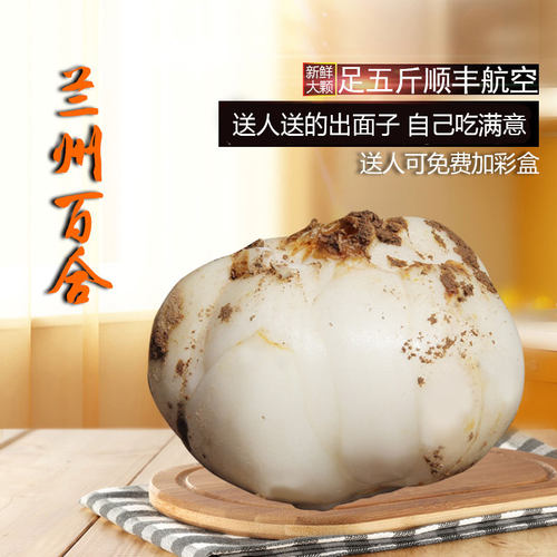 兰州百合新鲜食用大百合现挖
