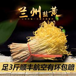 兰州韭黄现挖韭菜食用新鲜蔬菜包饺子食材粗根黄多三斤航空包邮