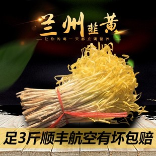 兰州韭黄现挖韭菜食用新鲜蔬菜包饺子食材粗根黄多三斤航空包邮
