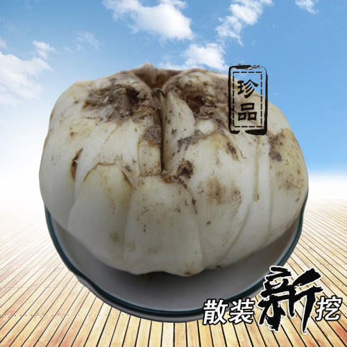 新鲜百合兰州产地直发