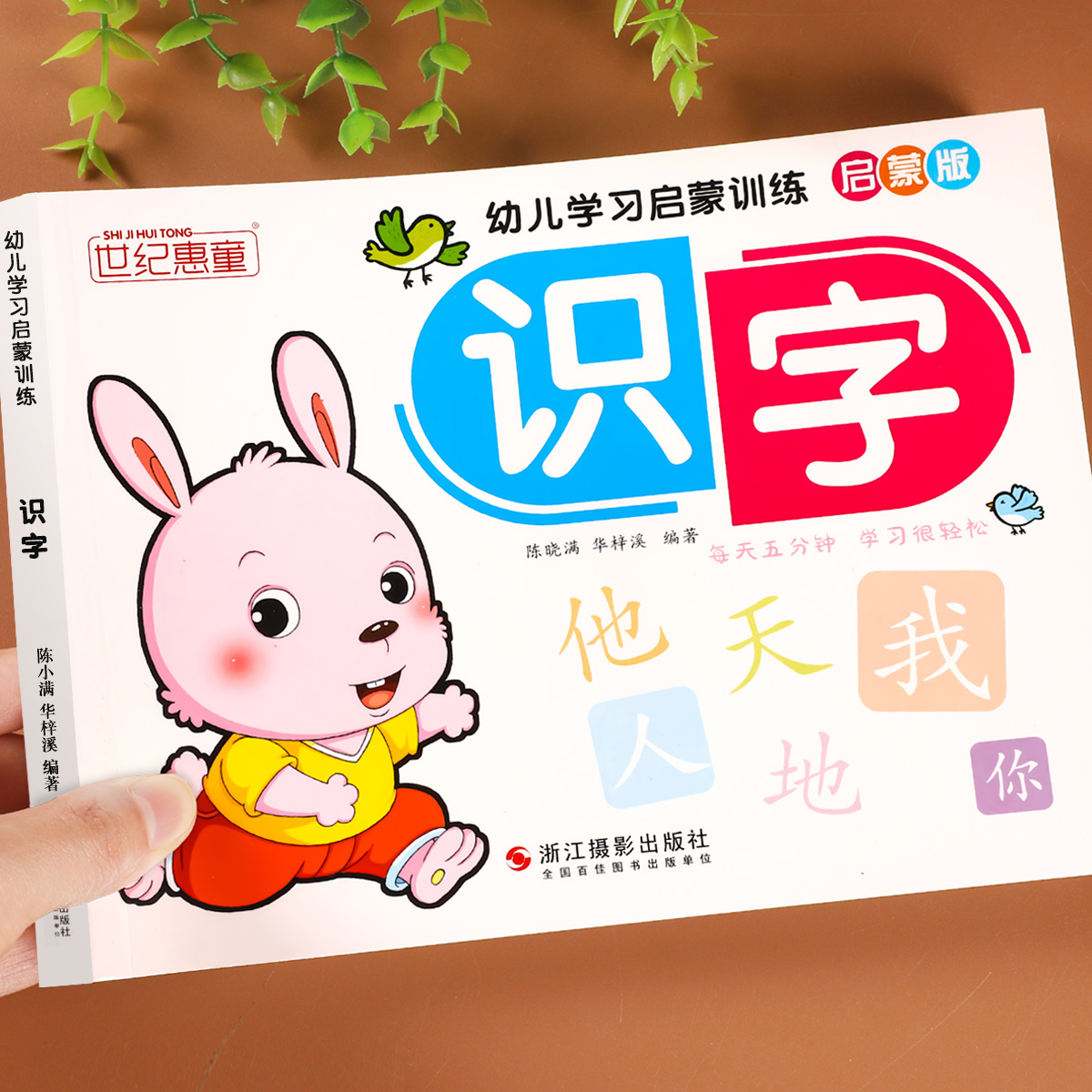 识字书幼儿认字早教启蒙教材绘本