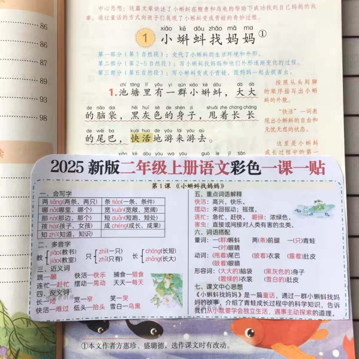 2025新提分小纸条课课贴1-6年级