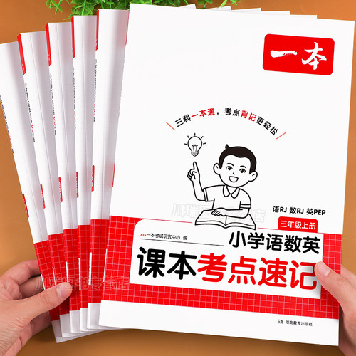 2026新版一本小学课本考点速记