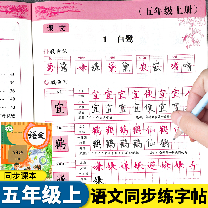 五年级上册语文同步字帖人教版