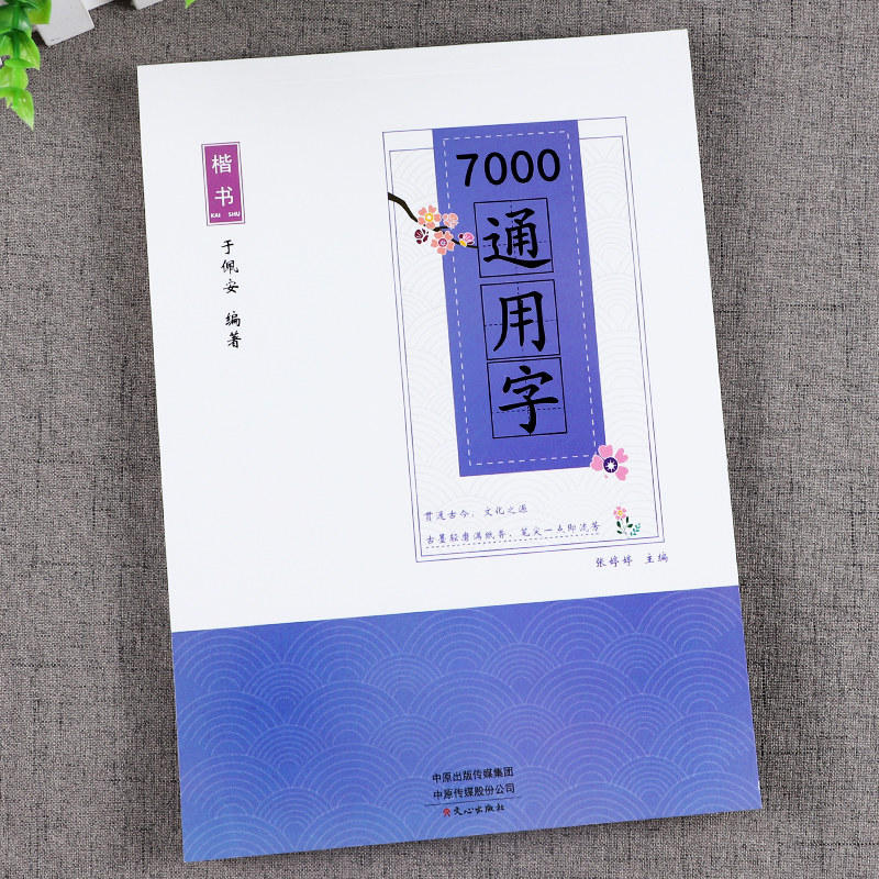 楷书 7000字通用楷书字帖成人初高中小学生女生漂亮字帖练字速成钢笔
