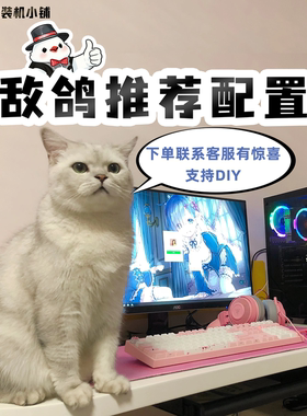【敌鸽力荐】一台美好的台式机 9800X3D 14600KF 电竞主机台式机