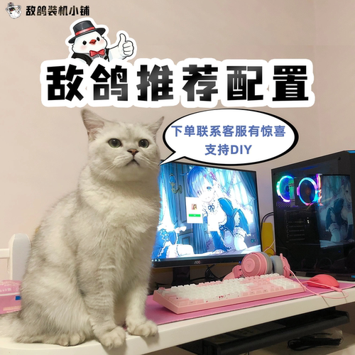 敌鸽电脑DIY台式机电竞办公