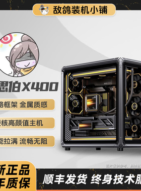 【X400整机】敌鸽电脑 鸽鸽电竞 一台美好的颜值台式机9600X/5070