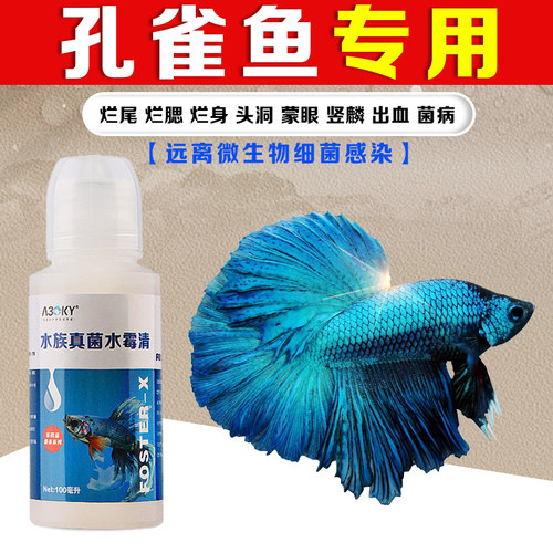 孔雀鱼药鱼缸用真菌白点水霉腐皮
