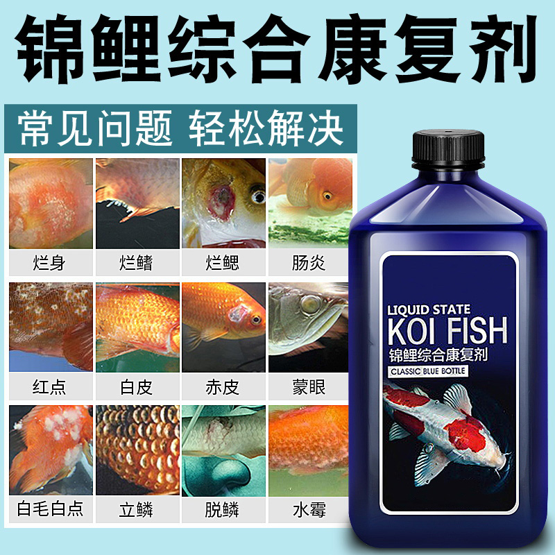 锦鲤专治药鳞烂身烂尾烂鳍鱼缸