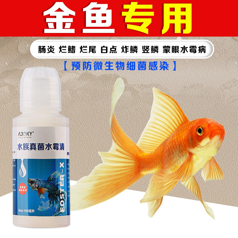 金鱼专用鱼药鱼缸用鱼药水霉腐皮