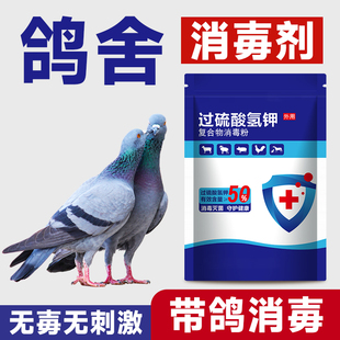 鸽子专用消毒液过硫酸氢钾消毒剂鸽舍消毒鸽子笼消毒液养殖场专用
