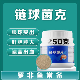 罗非鱼链球菌克链球克星链球速克眼球突出肝脏肿大链球菌水产养殖