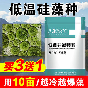 硅藻藻种水产养殖小球藻绿藻硅藻种源鱼虾蟹塘水产复合澡肥水培藻