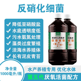 硝化细菌水产养殖专用生物降氨氮亚硝酸盐调水净水反鱼池消化细菌