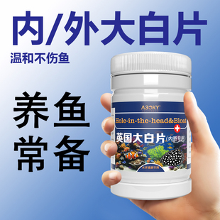 正品 英国大白片鱼用鹦鹉鱼肠炎内外寄生虫头洞龙鱼腹水凸眼非鱼药