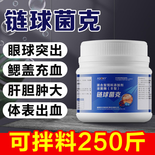 水产养殖链球菌克链球克星罗非鱼突眼鳃盖充血肿大噬弧菌弧菌速净