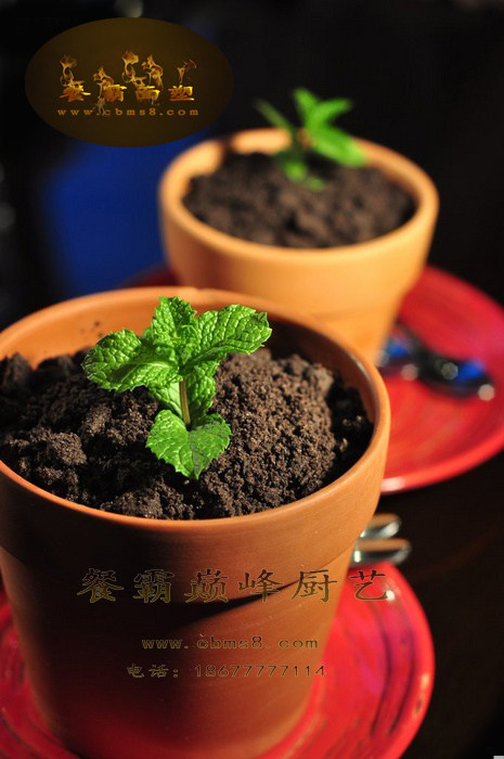造景者 创意花盆盛器 分子美食菜品盛器酒店厨师用品盘饰点缀冷菜
