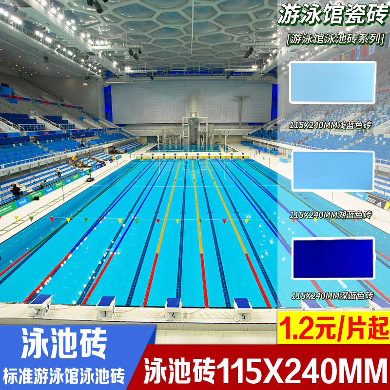标准游泳池馆115*240mm泳池砖蓝色体育馆竞赛训练池水鱼池瓷砖