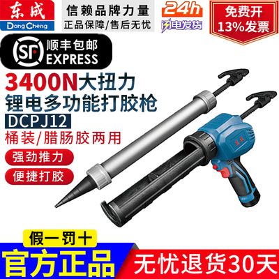 DCPJ12全自动中国大陆锂电