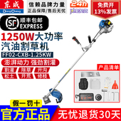 东成汽油割灌机割灌机二冲程大功率除草机背负式 BG431 打草机FF02