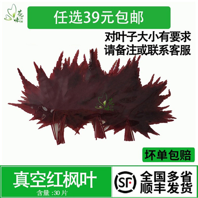 摆盘日料咖啡调酒饮品装饰叶子