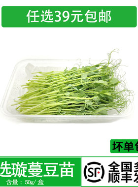 食用芽苗菜酒店西餐冷艺摆盘