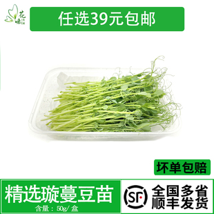 饰日料点缀 食用芽苗菜约50g酒店西餐摆盘装 新鲜璇蔓豆苗 豌豆苗