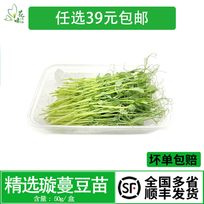 食用芽苗菜酒店西餐冷艺摆盘