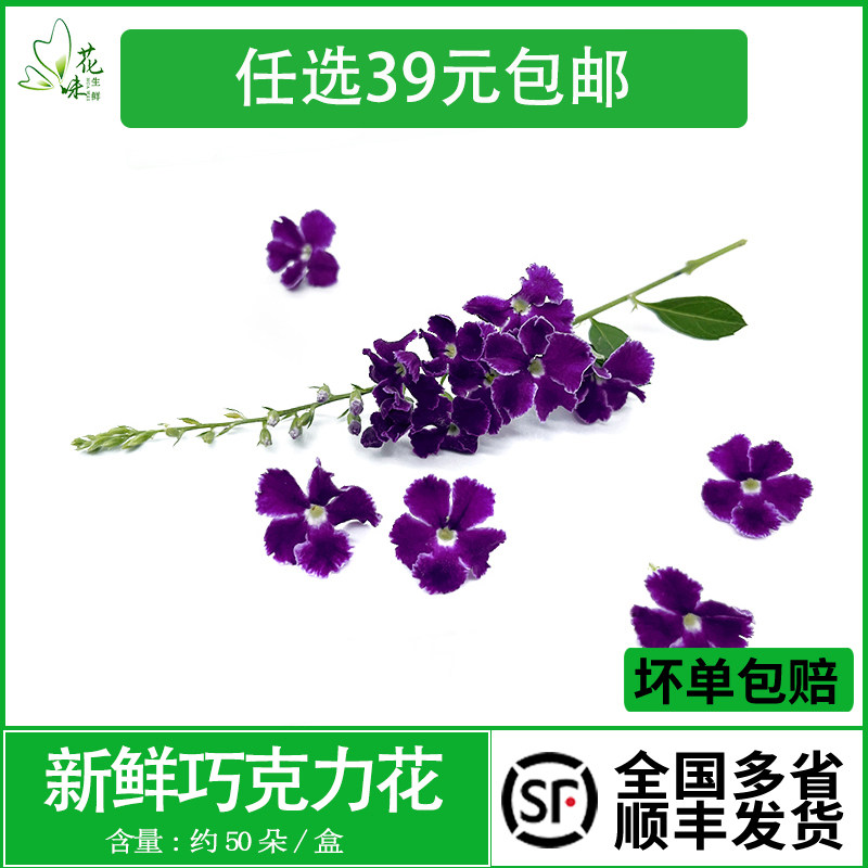 新鲜鲜花西餐酒店冷菜摆盘