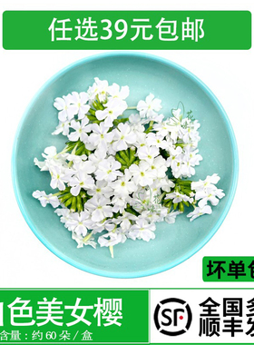 新鲜白色美女樱 酒店西餐摆盘日料蛋糕烘焙酒水装饰点缀鲜花草