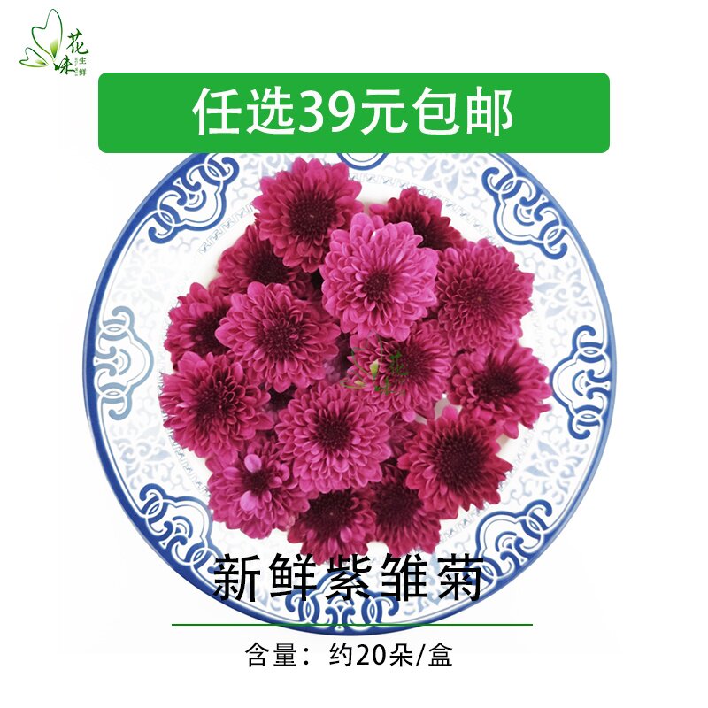 新鲜紫雏菊  纽扣菊小菊花 紫彩菊 小雏菊 西餐酒店餐饮蛋糕装饰