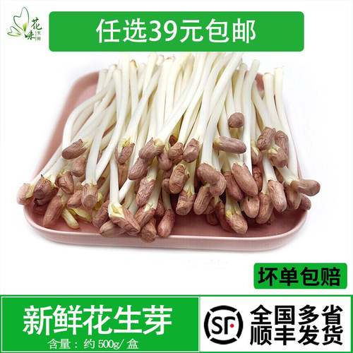 花生芽蔬菜蔬菜沙拉新鲜