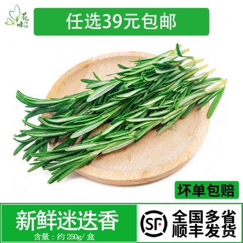 新鲜迷迭香250g 新鲜蔬菜马鞭草香料西餐牛排酒店调味调料