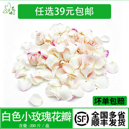 新鲜白色小玫瑰精选花瓣