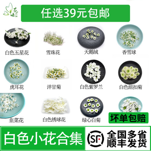 新鲜白色小花合集西餐摆盘装饰