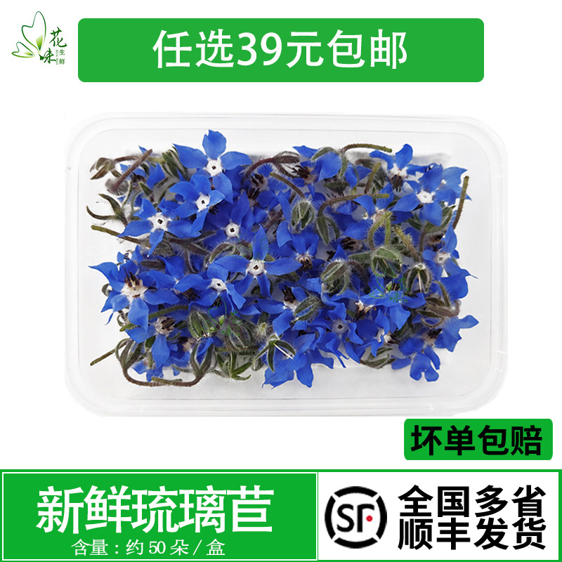 新鲜琉璃苣一盒50朵花食用西餐