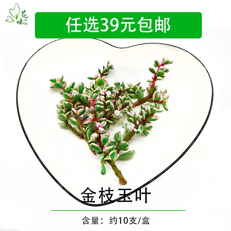 新鲜金枝玉叶 马齿苋一盒10支 酒店餐饮盘饰花 摆盘装饰点缀