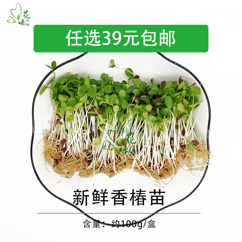 新鲜蔬菜 香椿苗100g 芽苗菜 可食用苗菜 西餐摆盘装饰