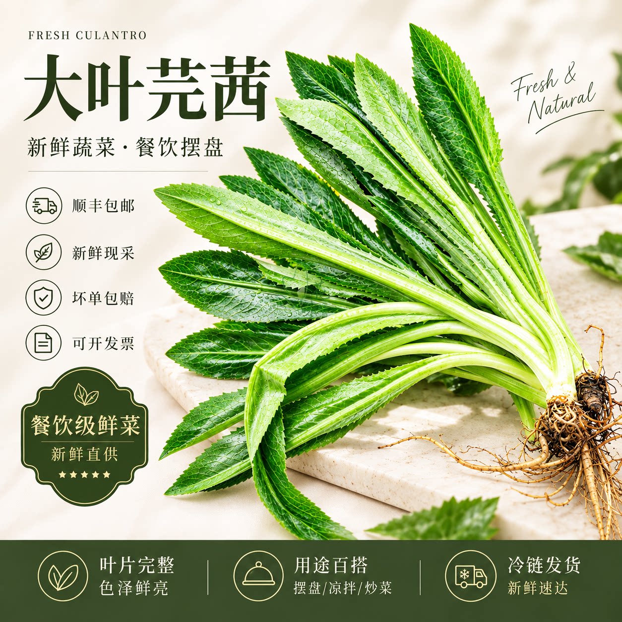 泰国越南傣味鱼生用香菜250g