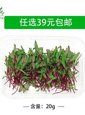 【花味鲜】新鲜蔬菜苗摆盘装饰